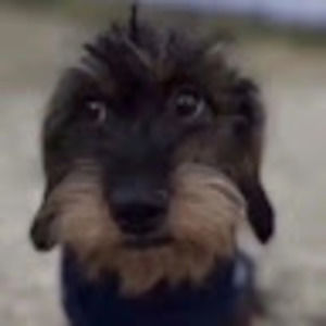 Meet your Posher, Caroline